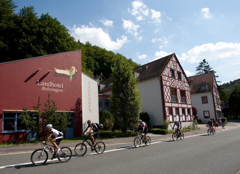 Behringers Freizeit - Und Tagungshotel غوسوينستين المظهر الخارجي الصورة